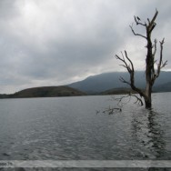 Banasura Sagar Dam