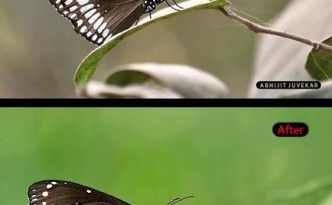 Image Enhancement