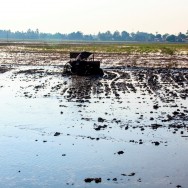 Kuttanad