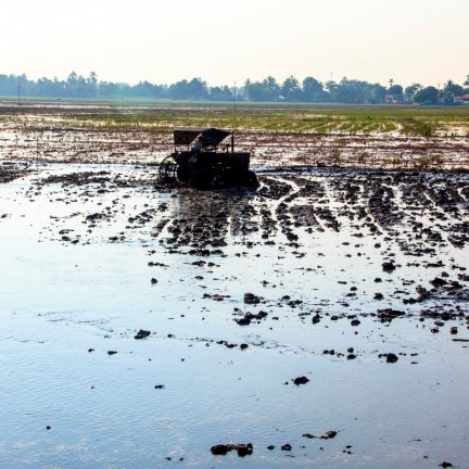 Kuttanad