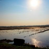 Kuttanad