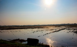Kuttanad