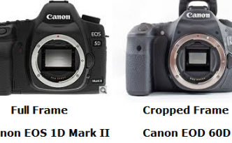 Canon EOS 5D Mark Ii and EOS 60D