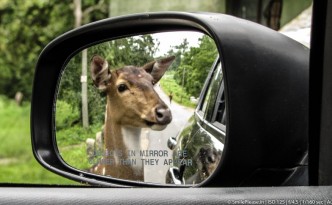 Object in the mirror