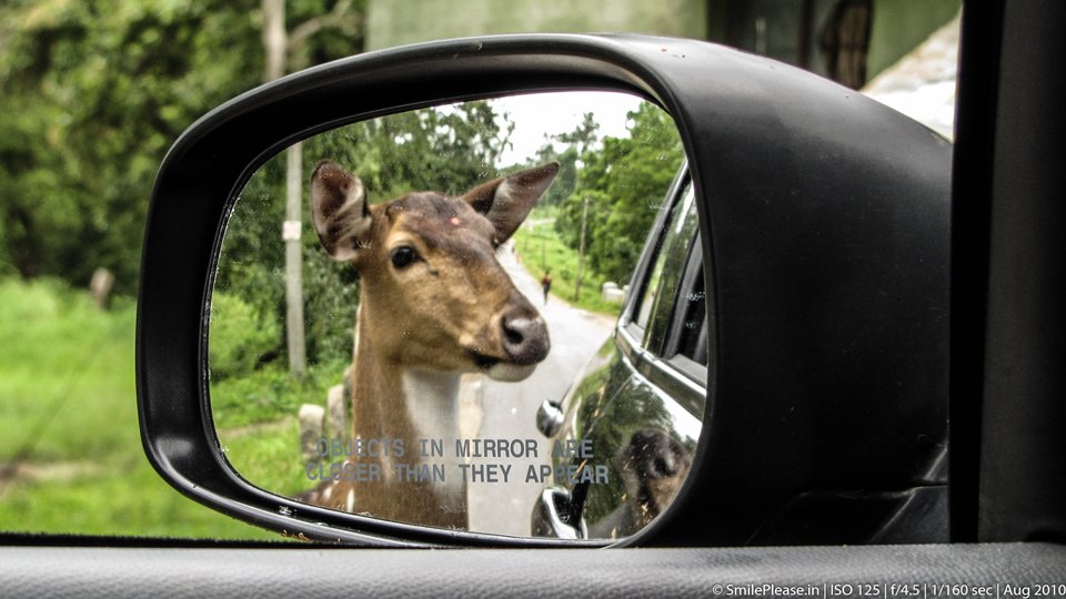 Object in the mirror