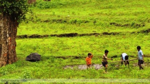 wayanad