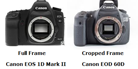 Canon EOS 5D Mark Ii and EOS 60D